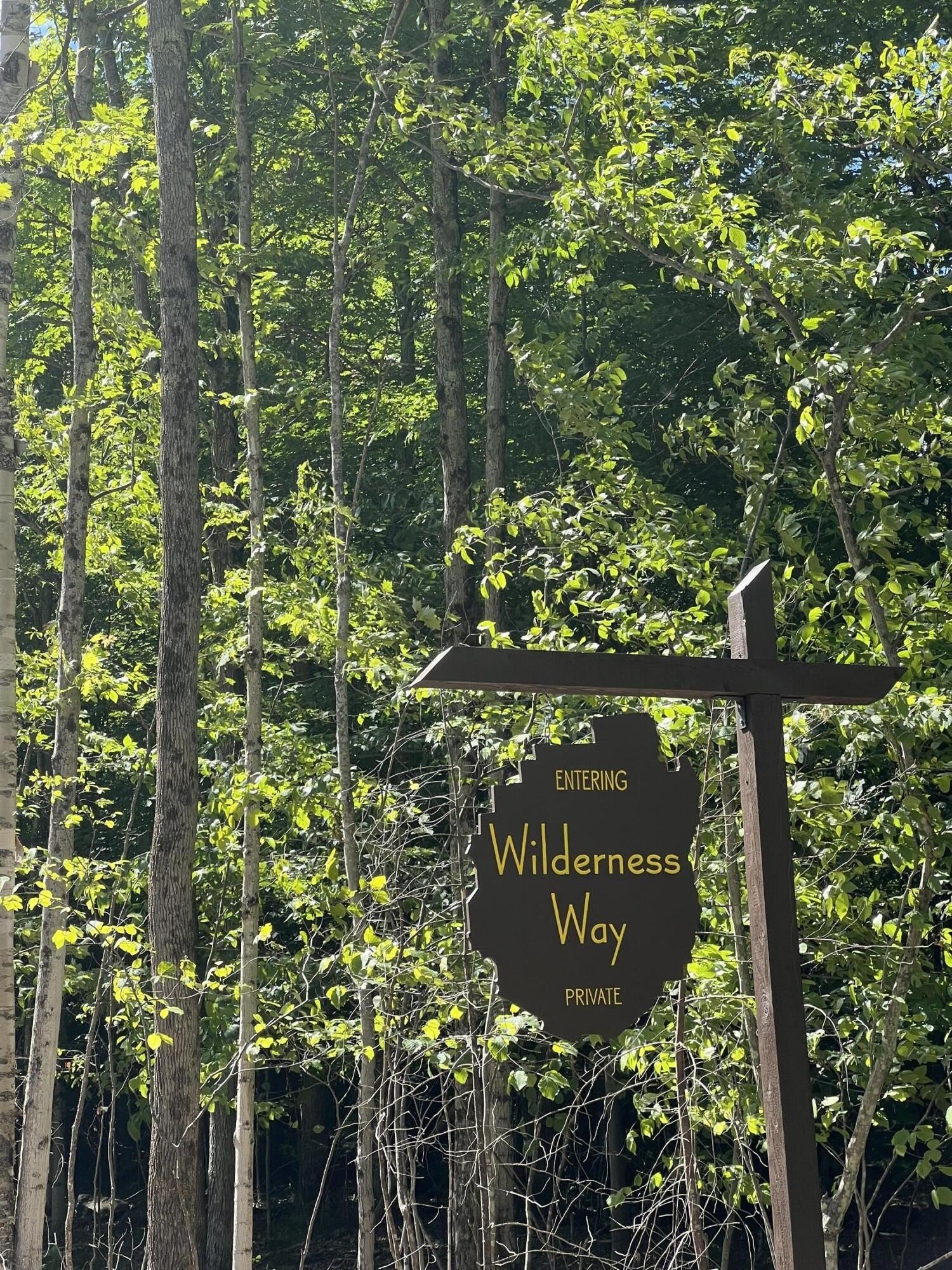 3. Lot 4 Wilderness Way