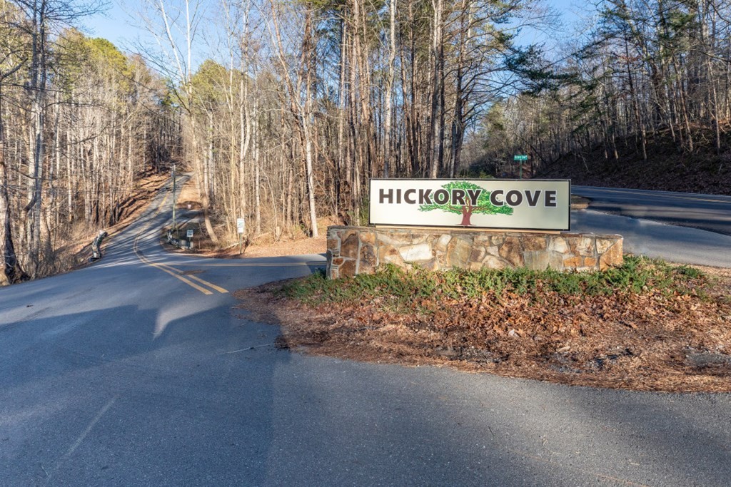 49. 60 Hickory Cove Road