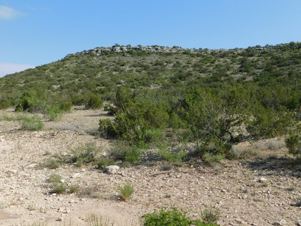 16. Lot 32 Burro Way