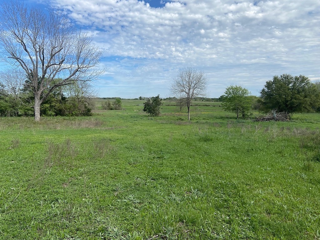 4. Tract 3 Caney Creek Road