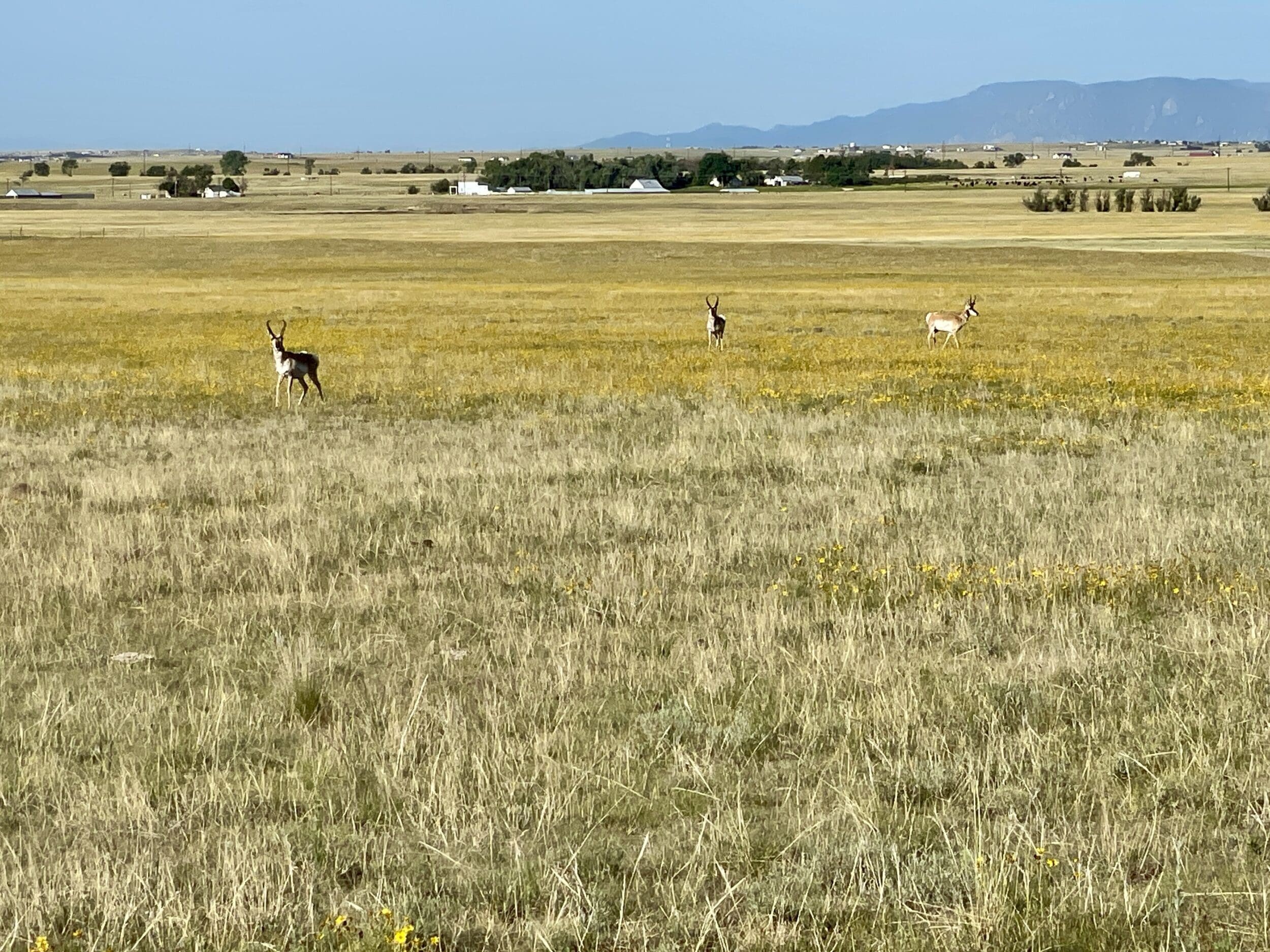 15. Lot 9 Carpenter Rd