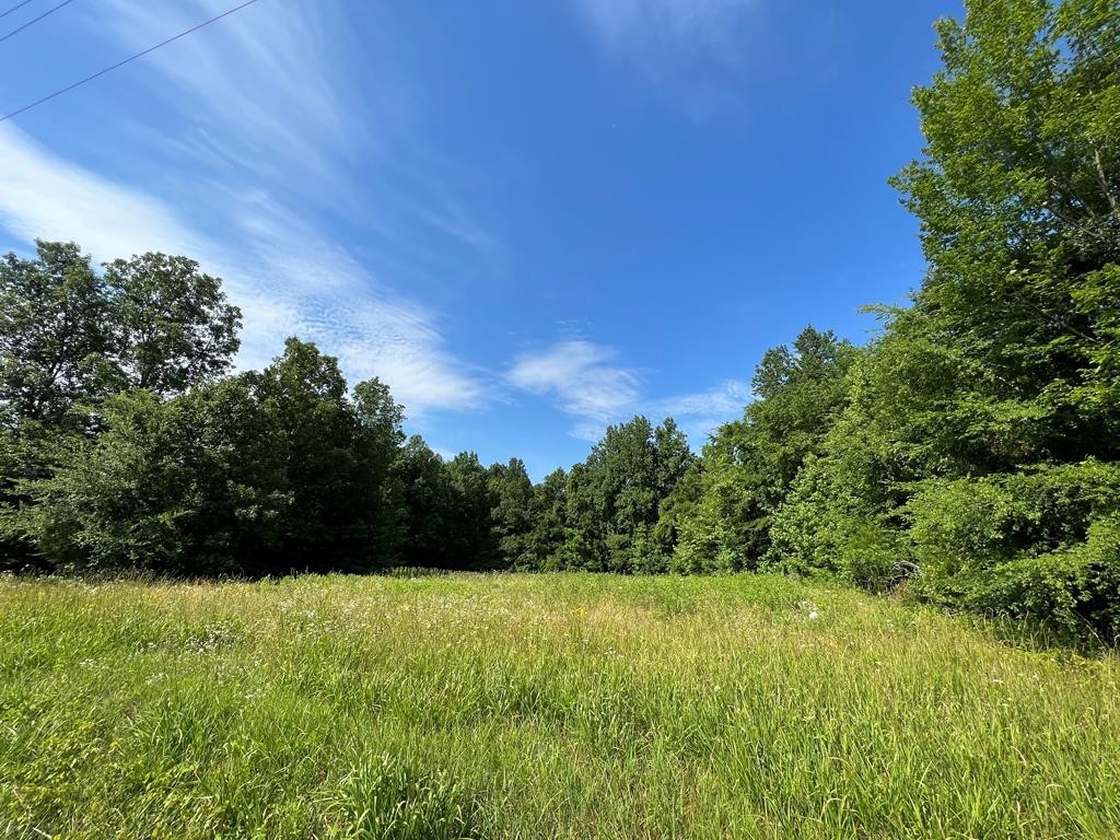 1. 15 Acres Lower Liberty Road