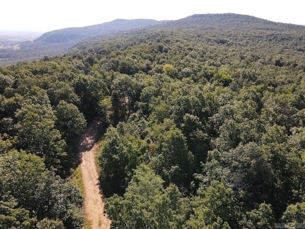 33. 10 +/- Acres Crow Drive