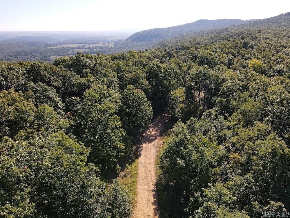 37. 10 +/- Acres Crow Drive