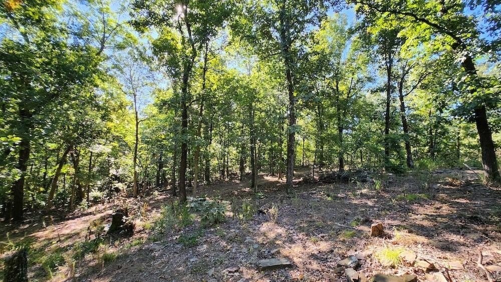 17. 10 +/- Acres Crow Drive