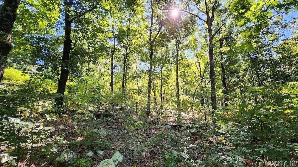 3. 10 +/- Acres Crow Drive