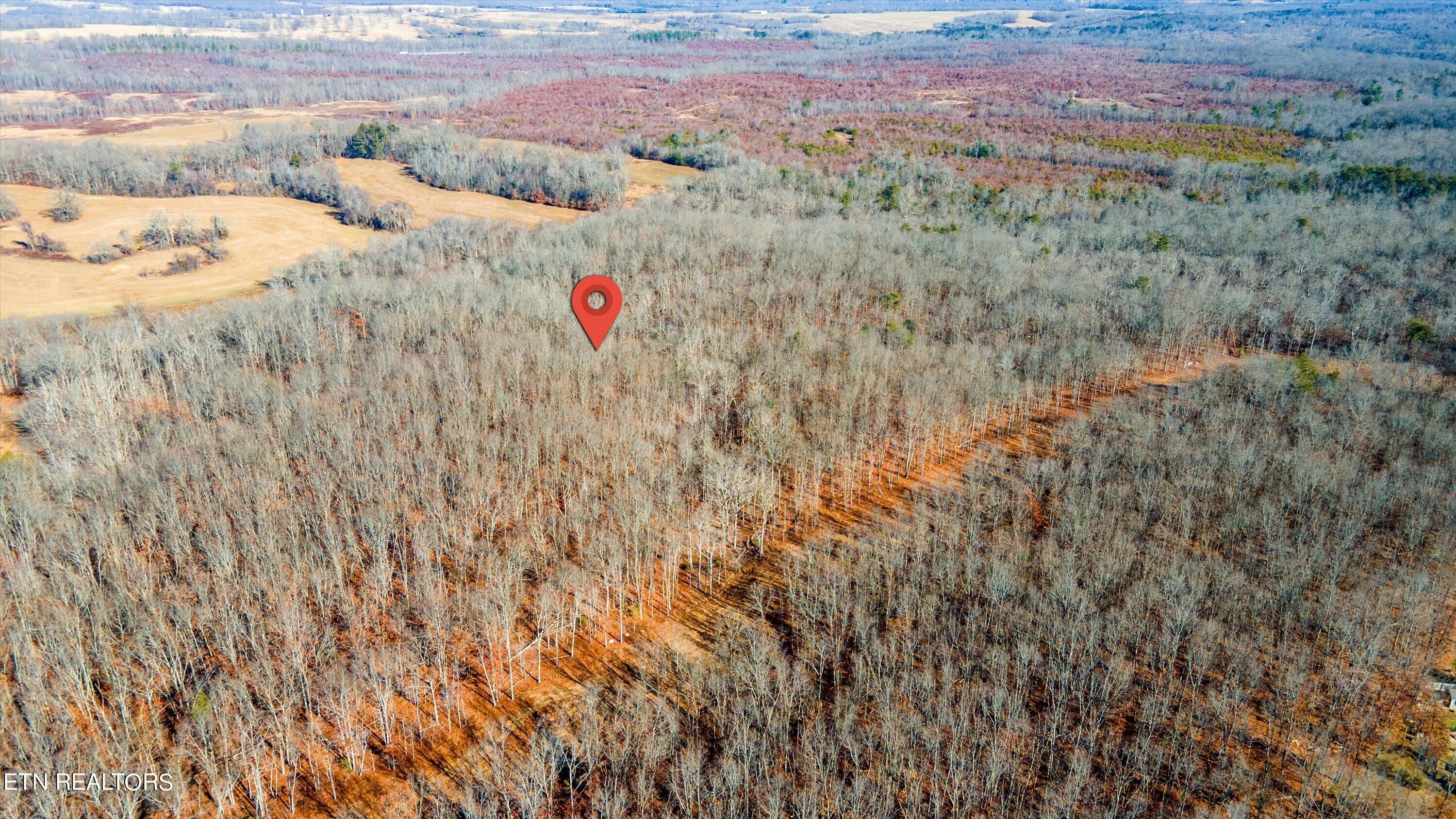 10. 11.83 Ac Off Stanley Hood Rd