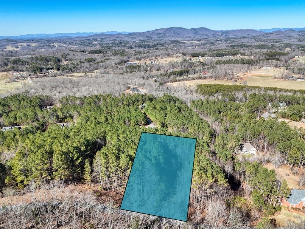 2. Lot 24 Loftis Mountain