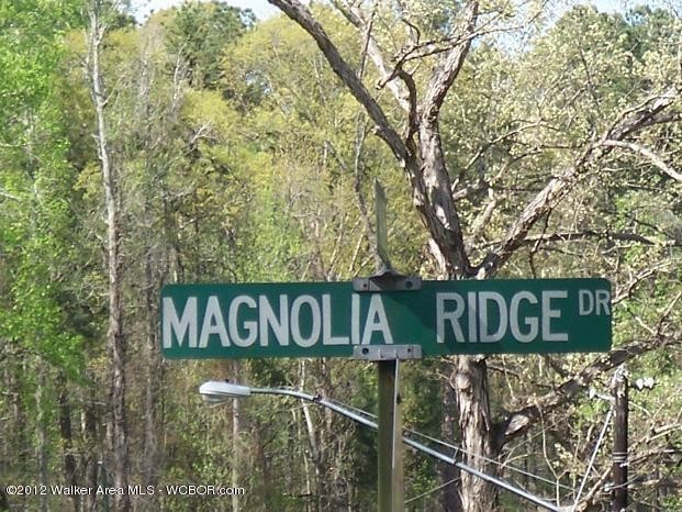 1. Magnolia Ridge Dr