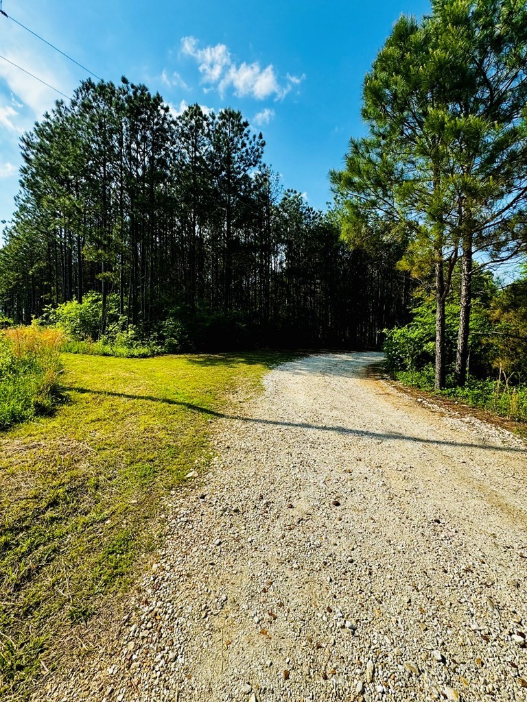 3. 6421 Rabbit Creek Road