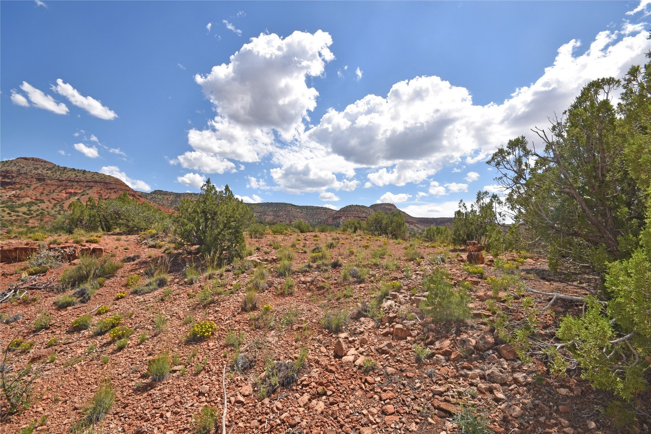 3. Lot 15 Camino Amarillo