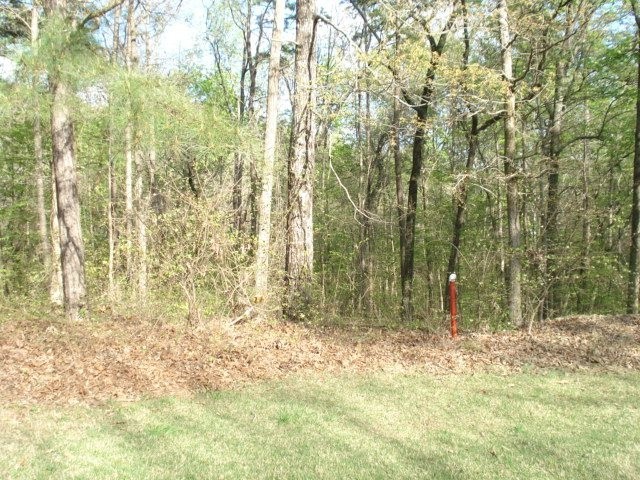 1. 505a Briar Creek