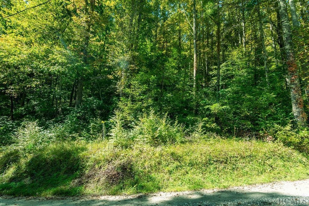 1. Lot 16 Cullowhee Forest Road