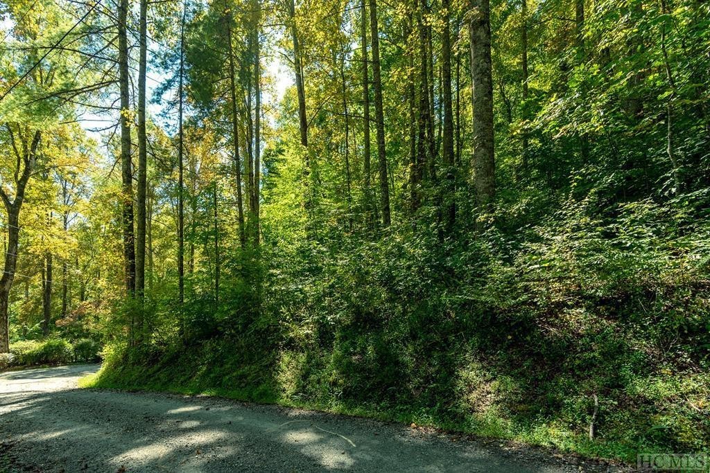 2. Lot 16 Cullowhee Forest Road