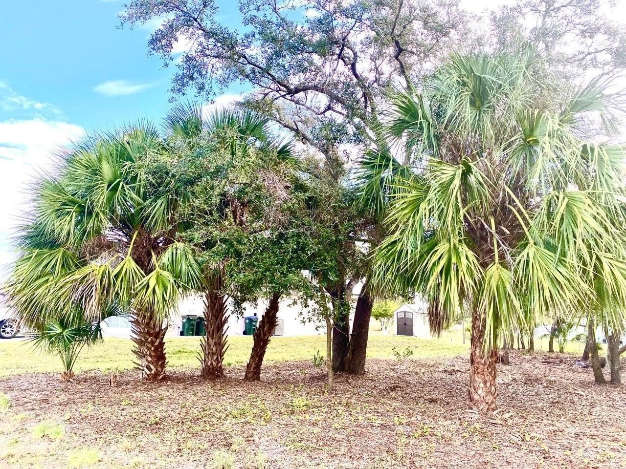 1. Lot 27 S Biscayne Drive