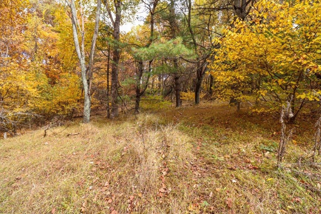 4. Lot 133 Old Hollow Trail