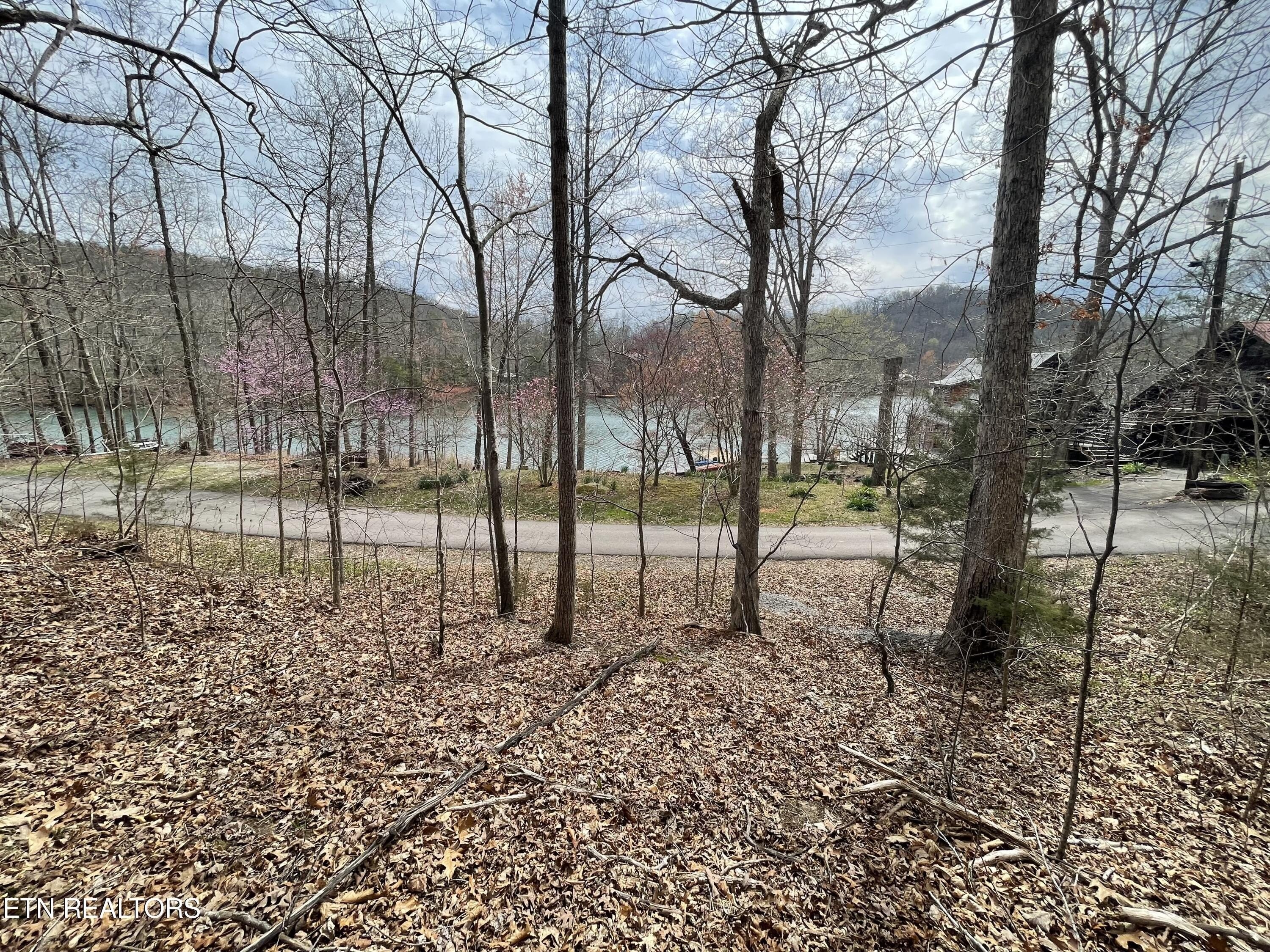 6. Lot119 Laurel Lake Circle