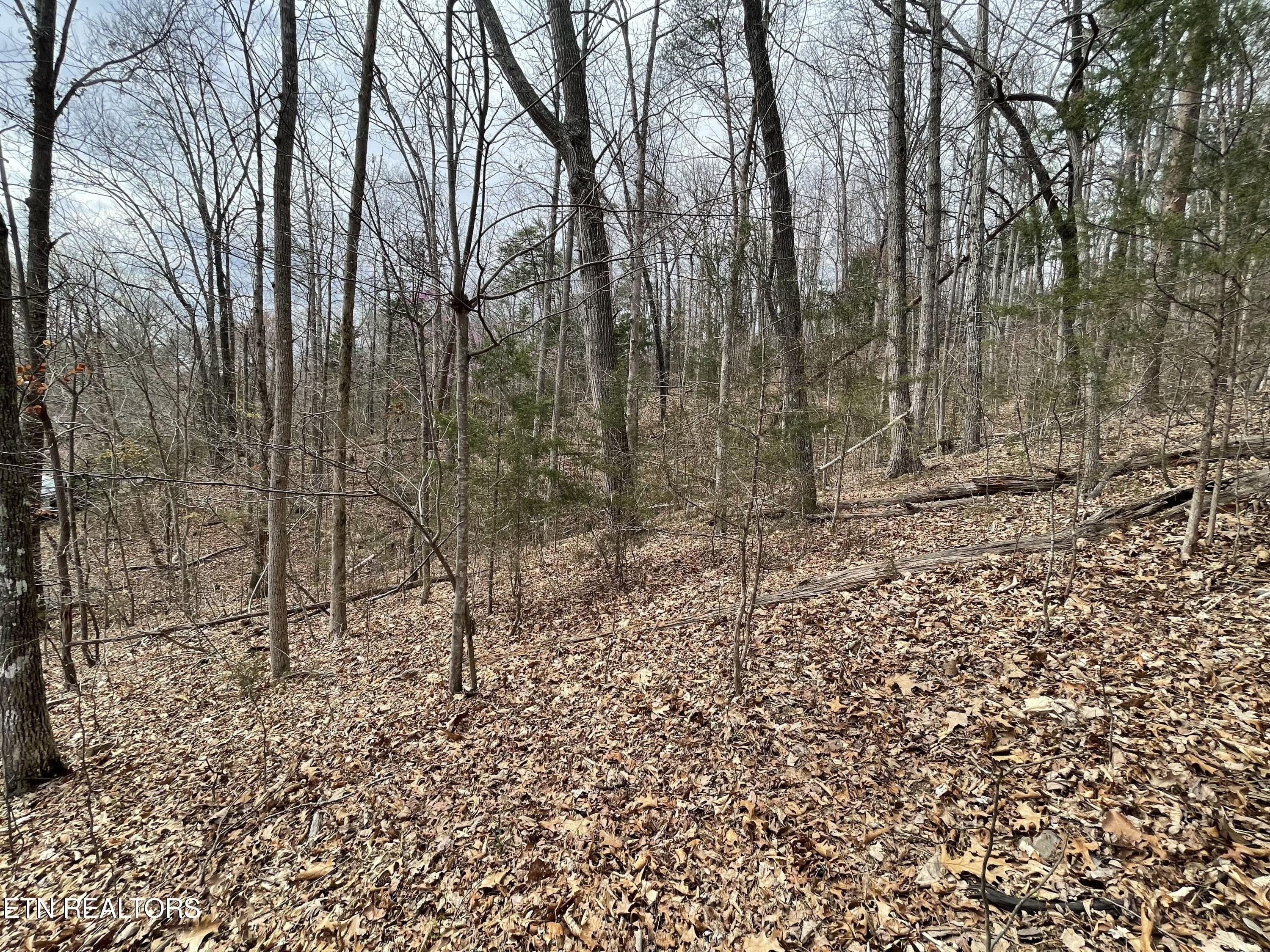 7. Lot119 Laurel Lake Circle