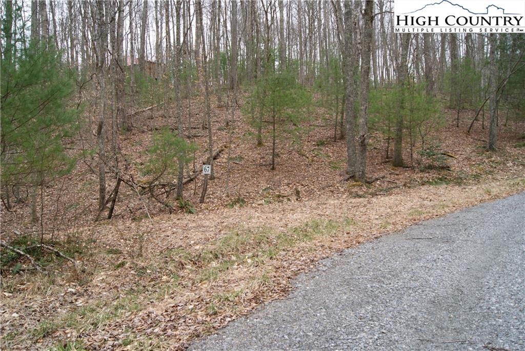 5. Lot 67 Laurel Mountain Drive