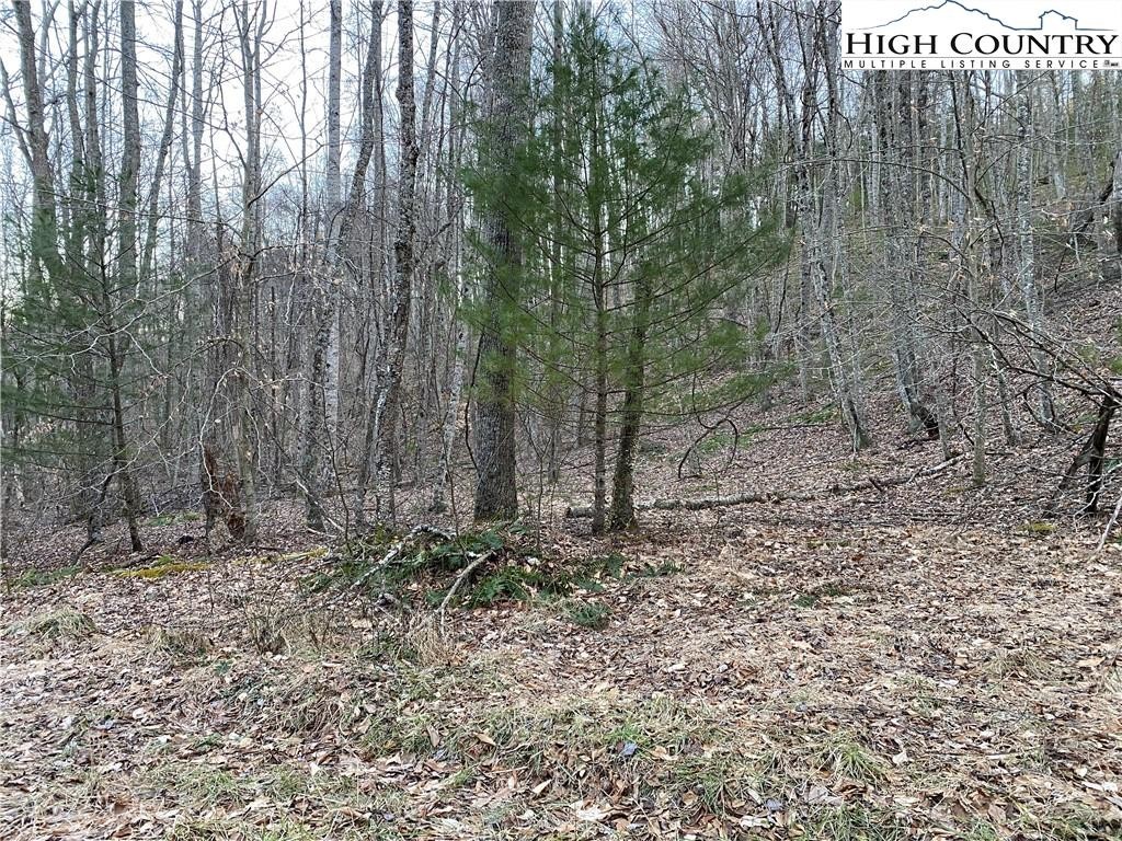 9. Lot 67 Laurel Mountain Drive