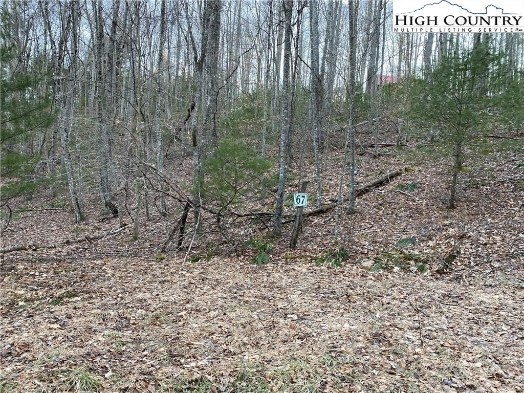 7. Lot 67 Laurel Mountain Drive