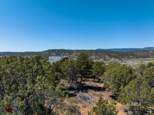 16. Lot 45 Juniper Cir/Pinyon Pine Dr