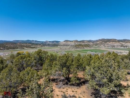 15. Lot 45 Juniper Cir/Pinyon Pine Dr