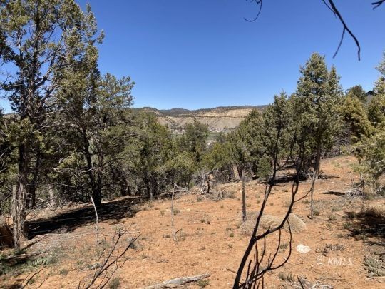 20. Lot 45 Juniper Cir/Pinyon Pine Dr