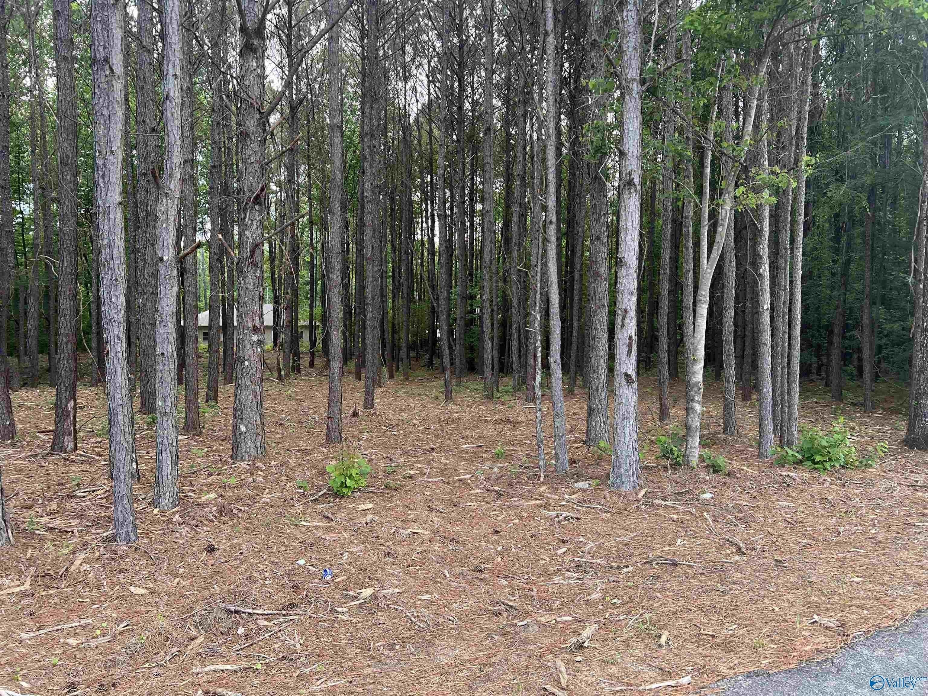 3. Lot 5 Arrowhead Drive