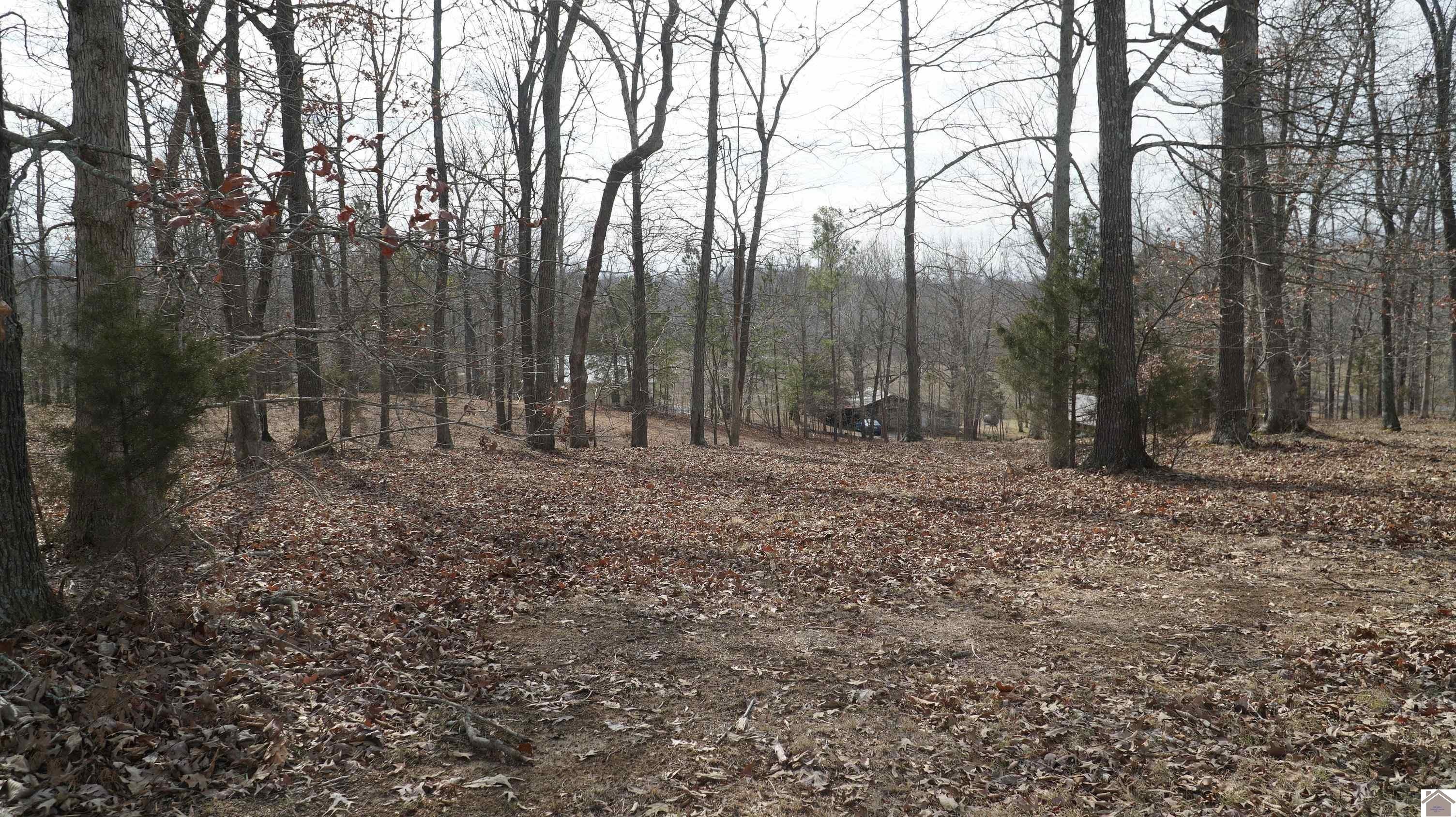 10. 000 Fern Creek Ln - Lot 11