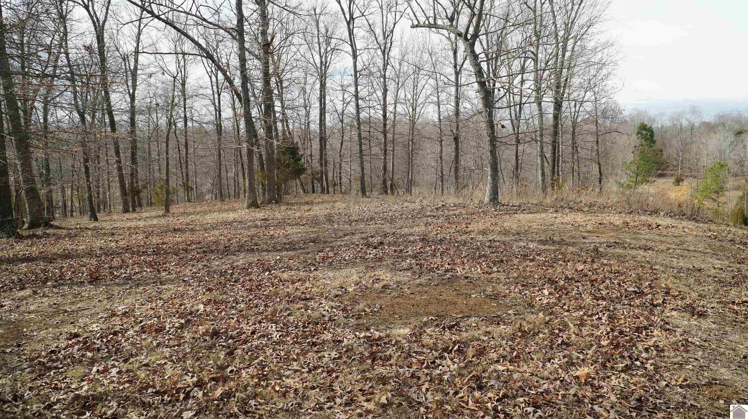 1. 000 Fern Creek Ln - Lot 11