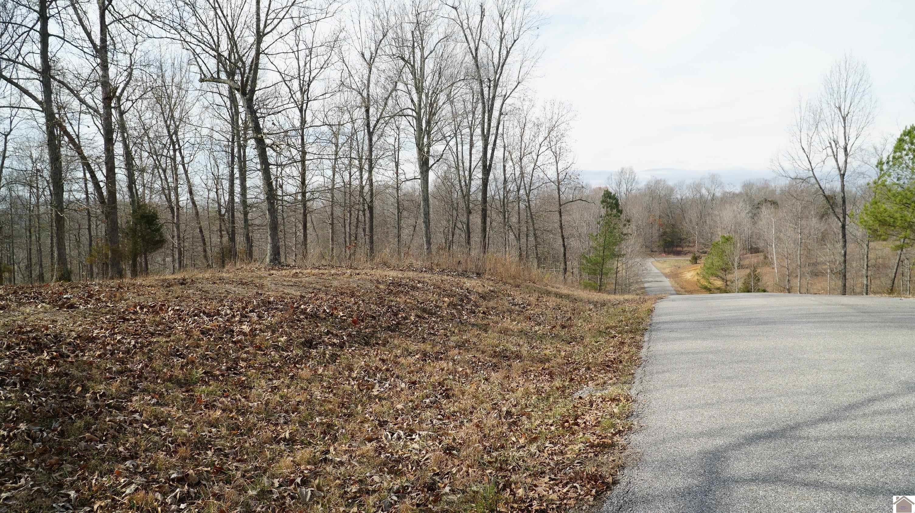 4. 000 Fern Creek Ln - Lot 11