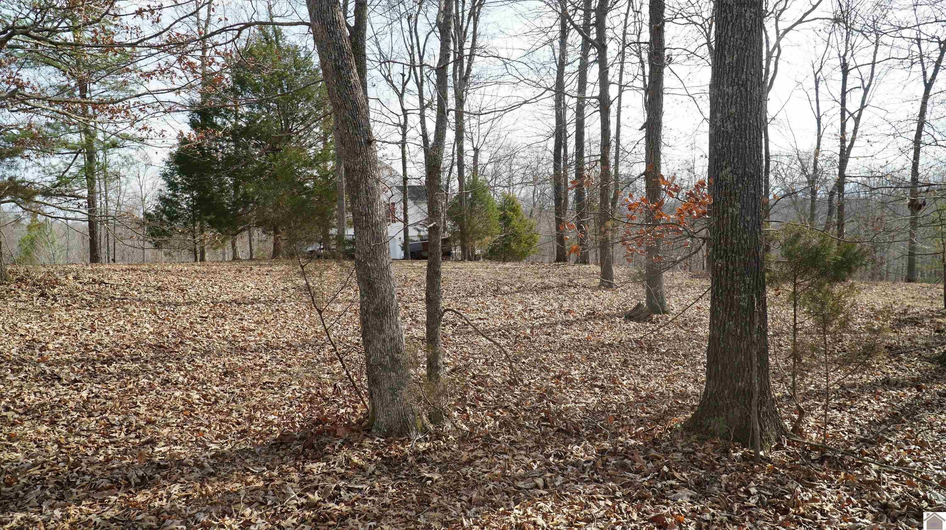 7. 000 Fern Creek Ln - Lot 11