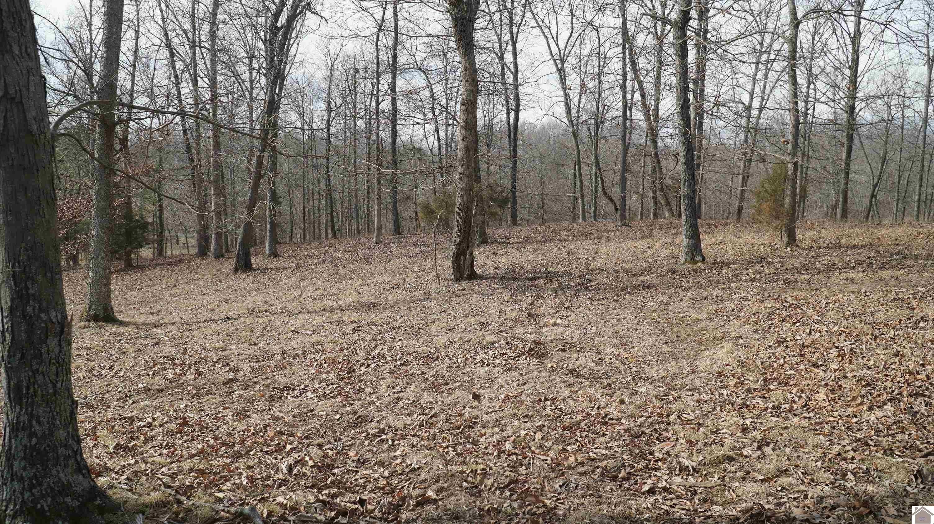 5. 000 Fern Creek Ln - Lot 11