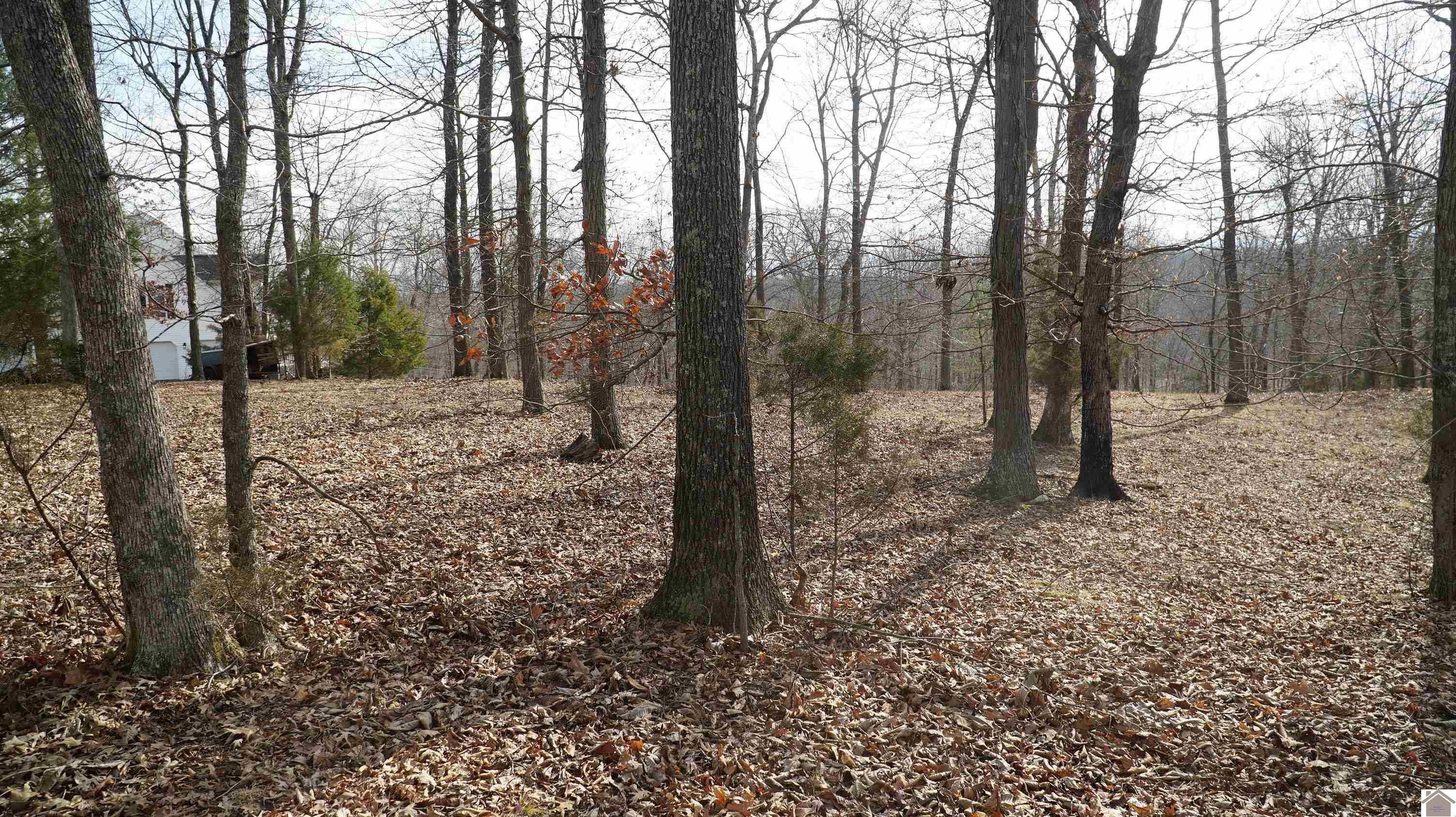 8. 000 Fern Creek Ln - Lot 11