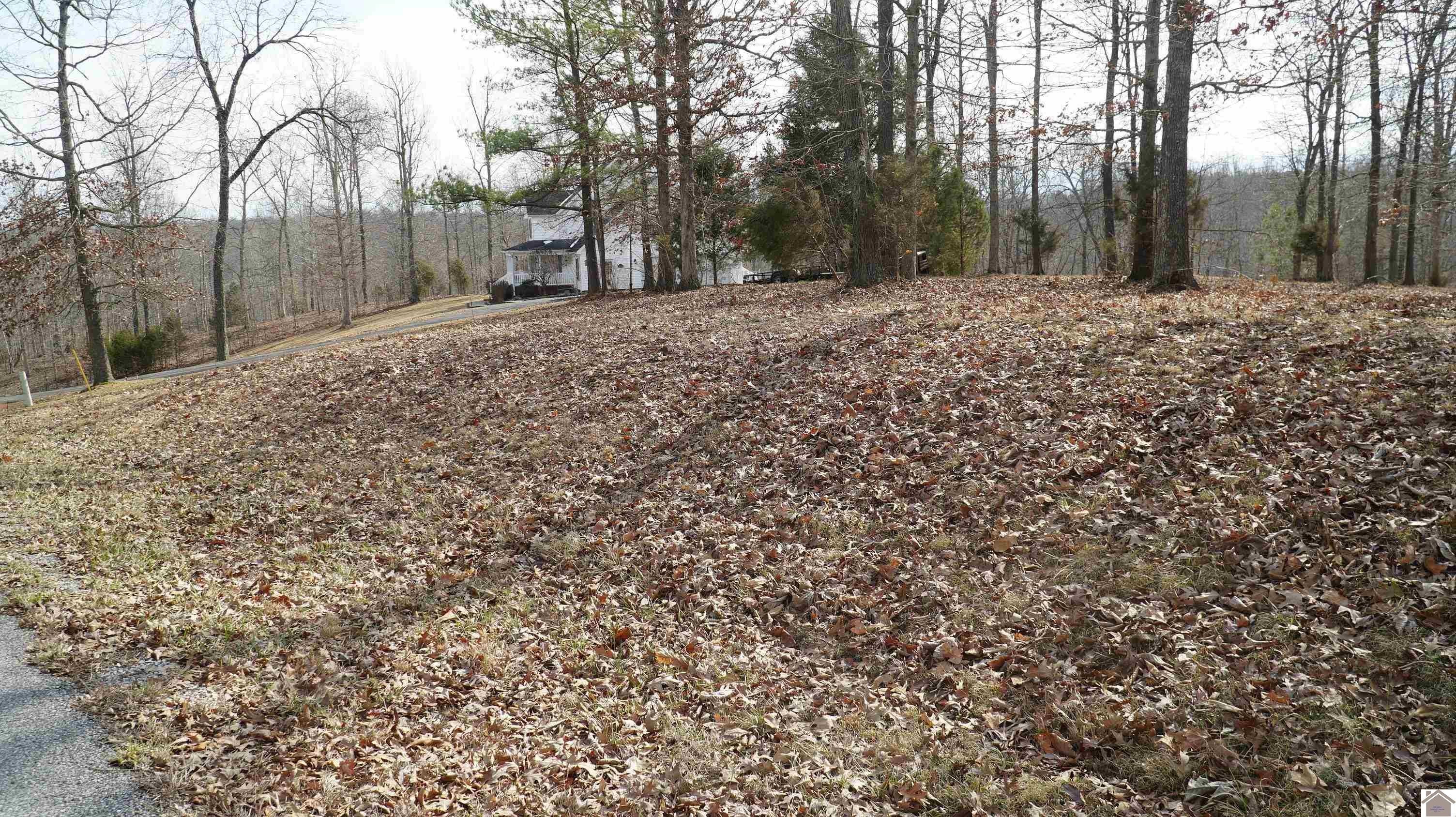 12. 000 Fern Creek Ln - Lot 11