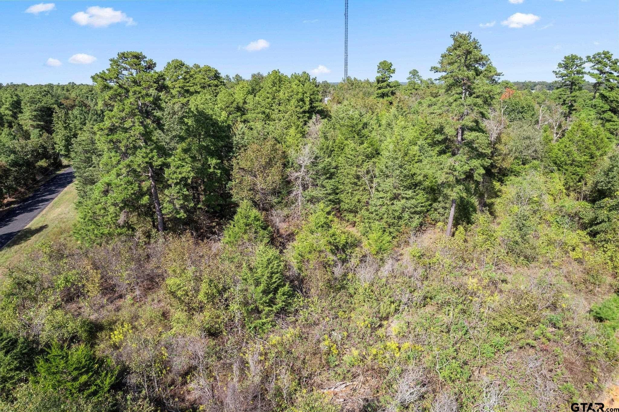 21. 16 Acres Cr 3350