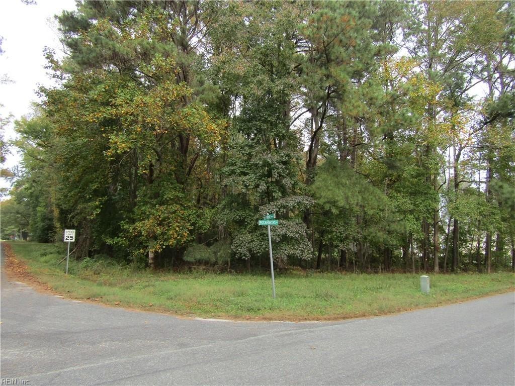 1. .39ac Pocahontas Road