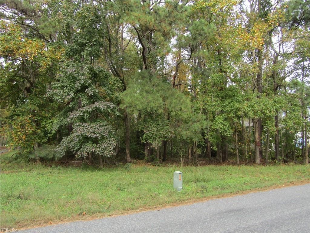 2. .39ac Pocahontas Road