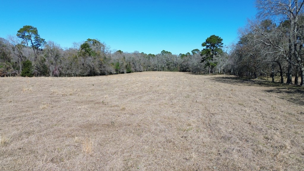 4. 1845 Pope Road (15.68 Acres)