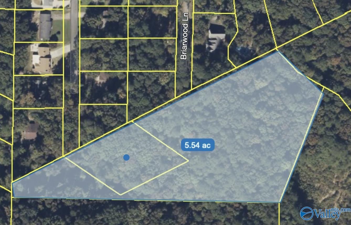 2. 5.5 Ac Briarwood Lane