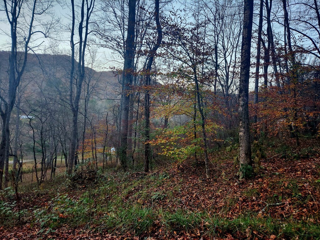 8. Cullowhee Mtn. Road