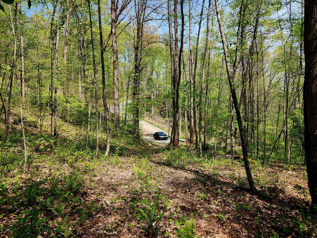 7. Cullowhee Mtn. Road