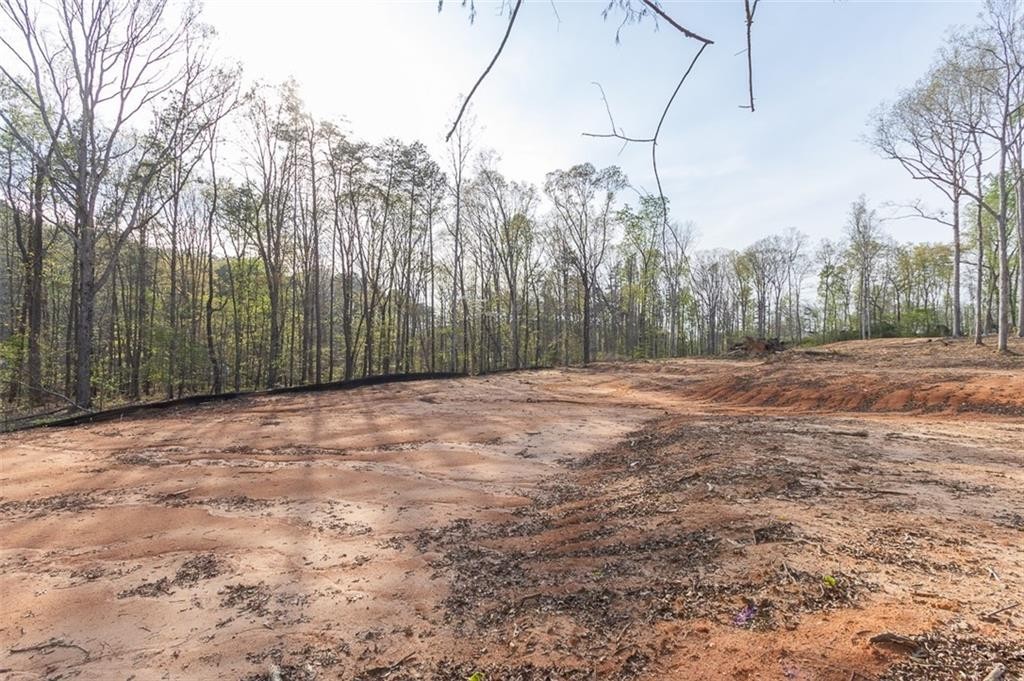 9. 605 Elizabeth Lot 2 Road