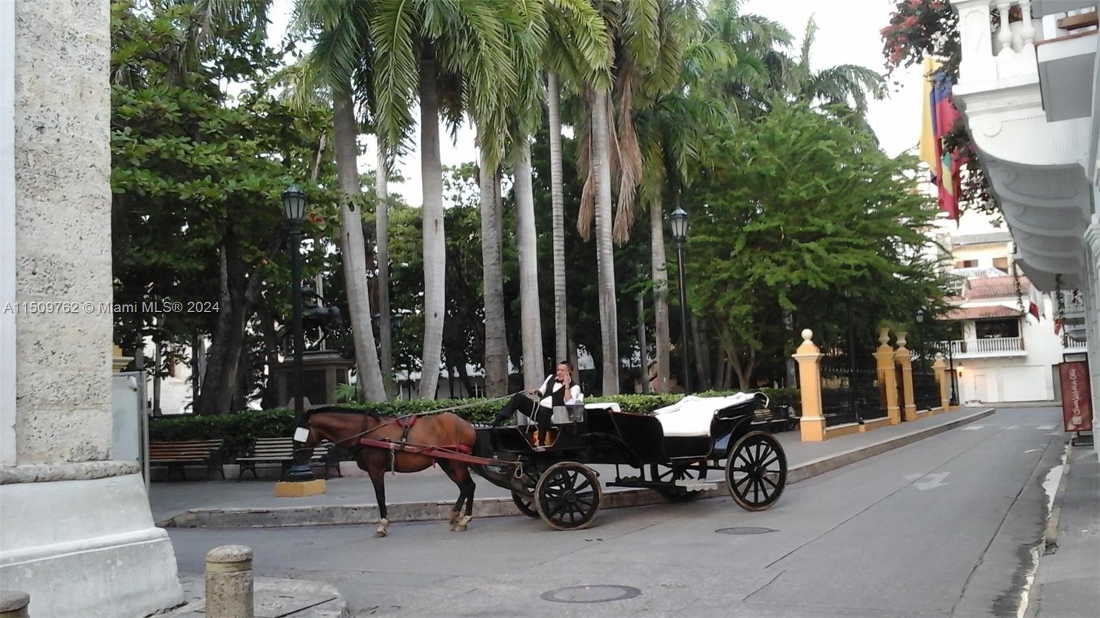 12. Centro Calle Santo Domingo