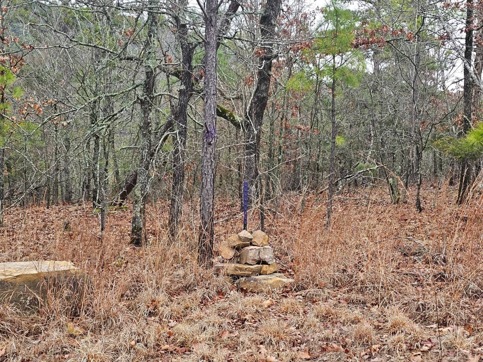 7. Tbd Flag Pole Mountain Rd.