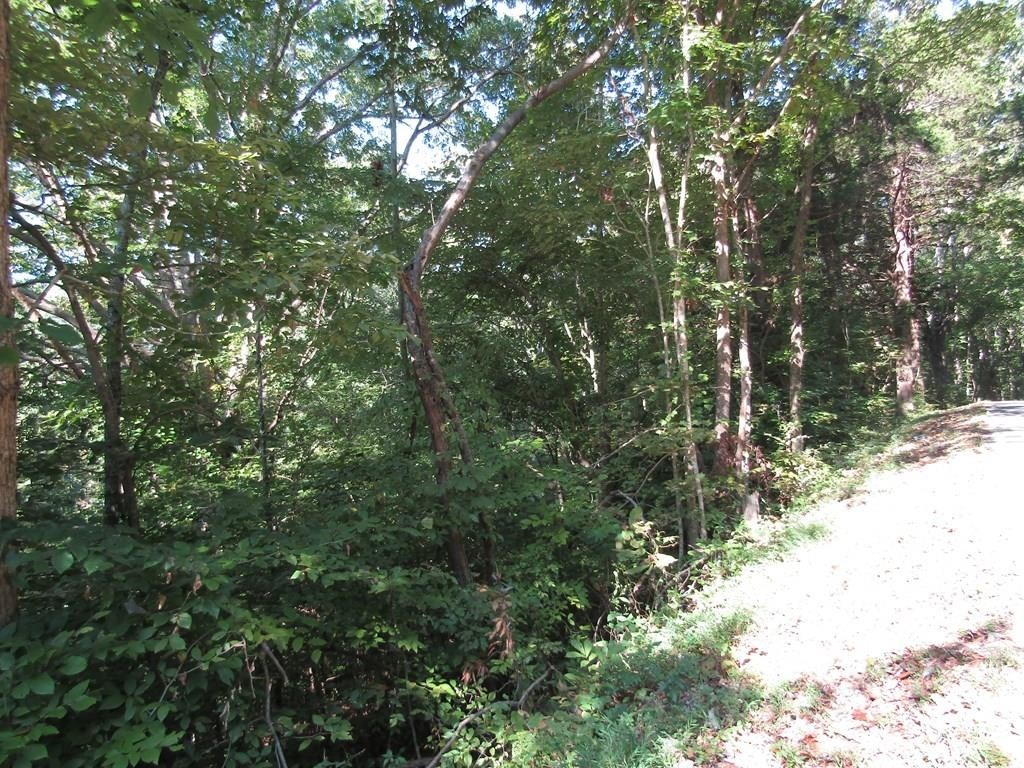 1. 0.40 Ac Cedar Hill Rd