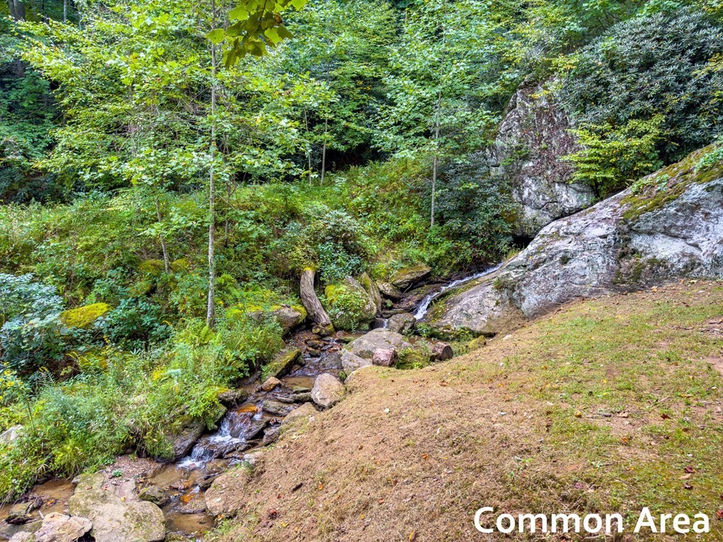 41. 654 Covered Bridge Trl