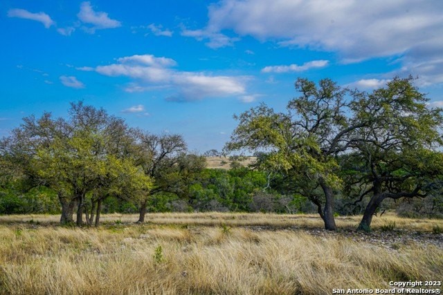 2. Lot 84 Loma Vista Ranch