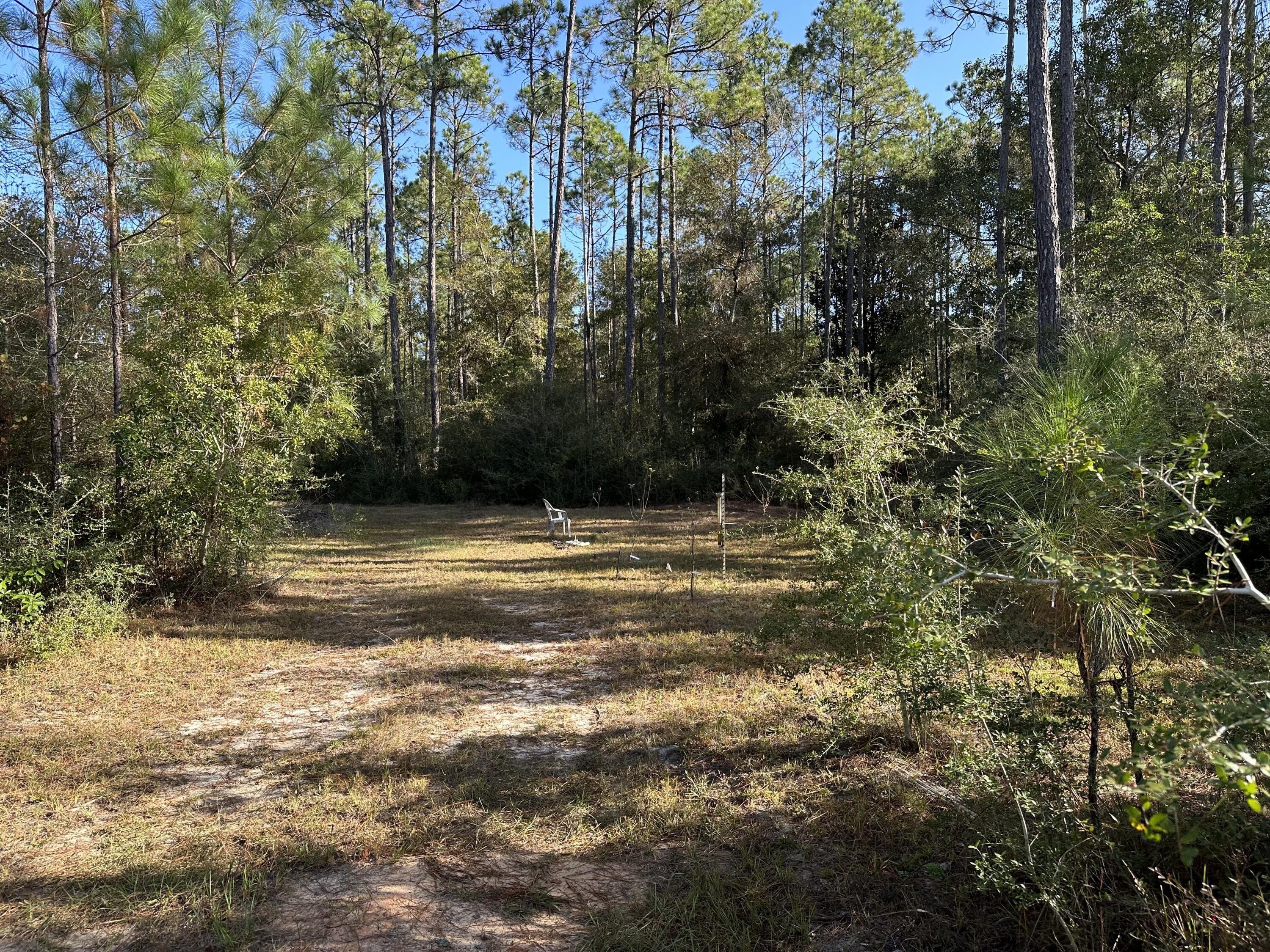 1. 40+/- Ac Hwy 2